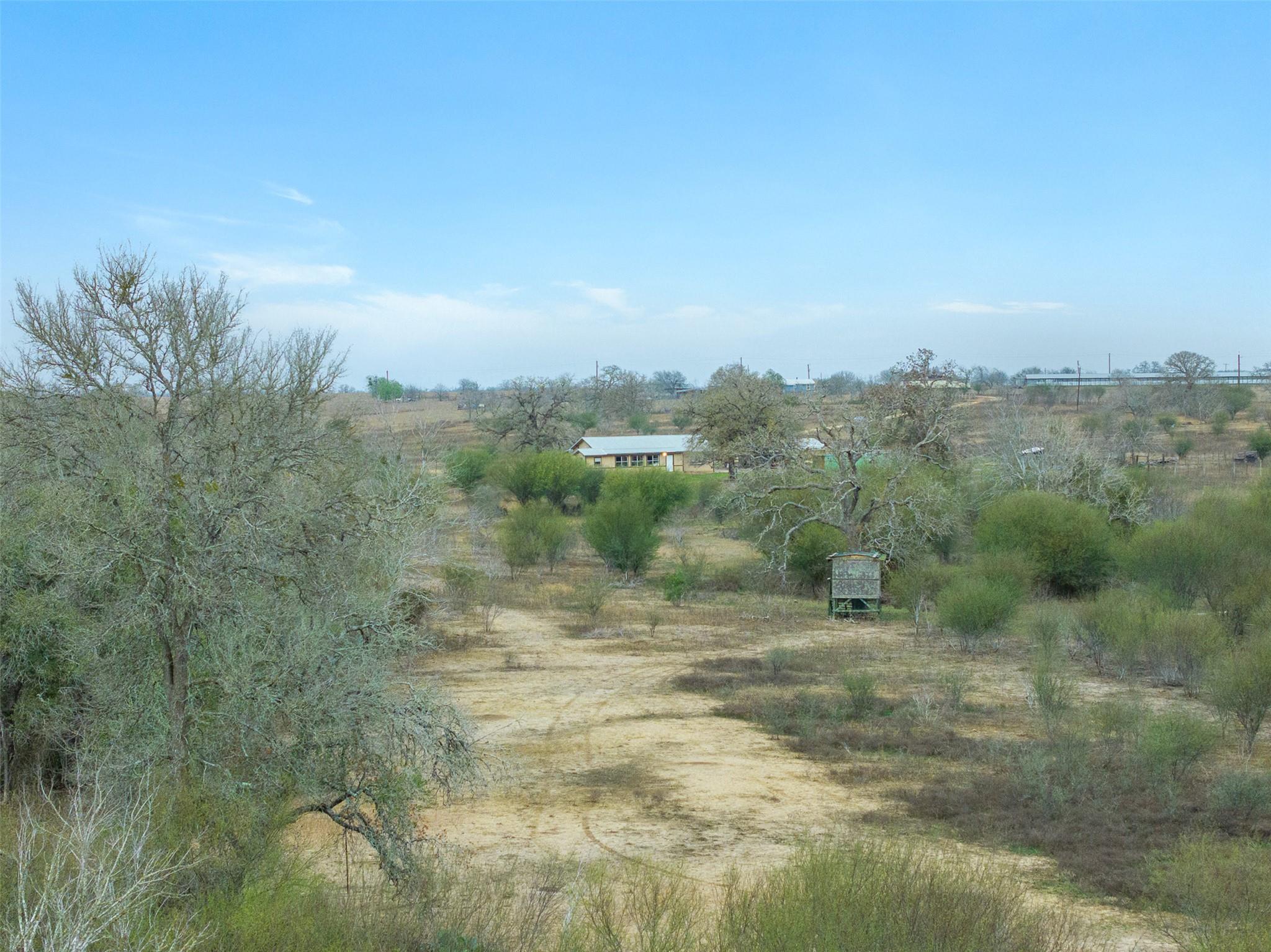 Photo 40