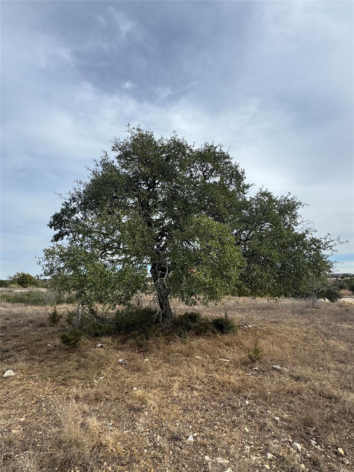 Unimproved Land