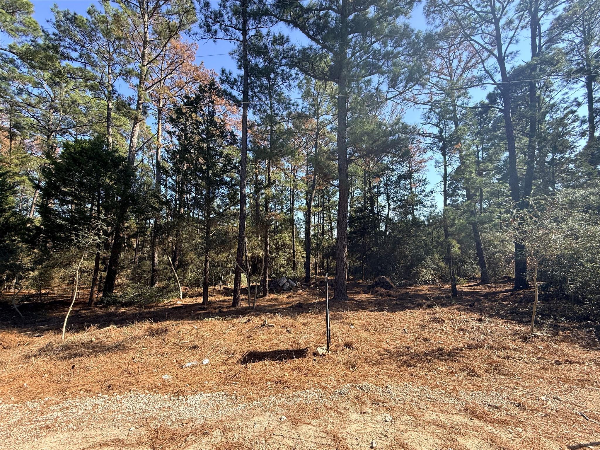 Unimproved Land