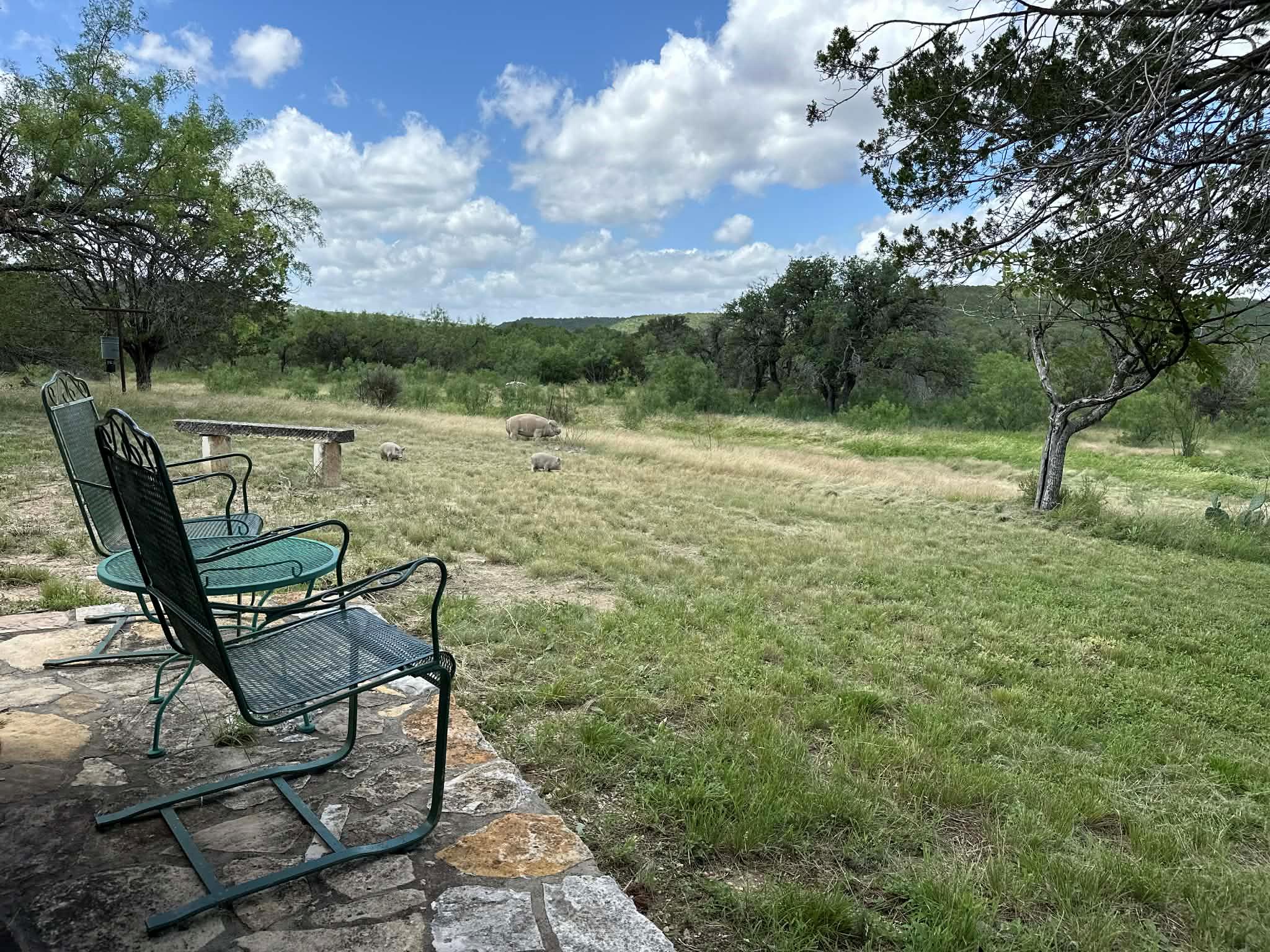 Photo 18
