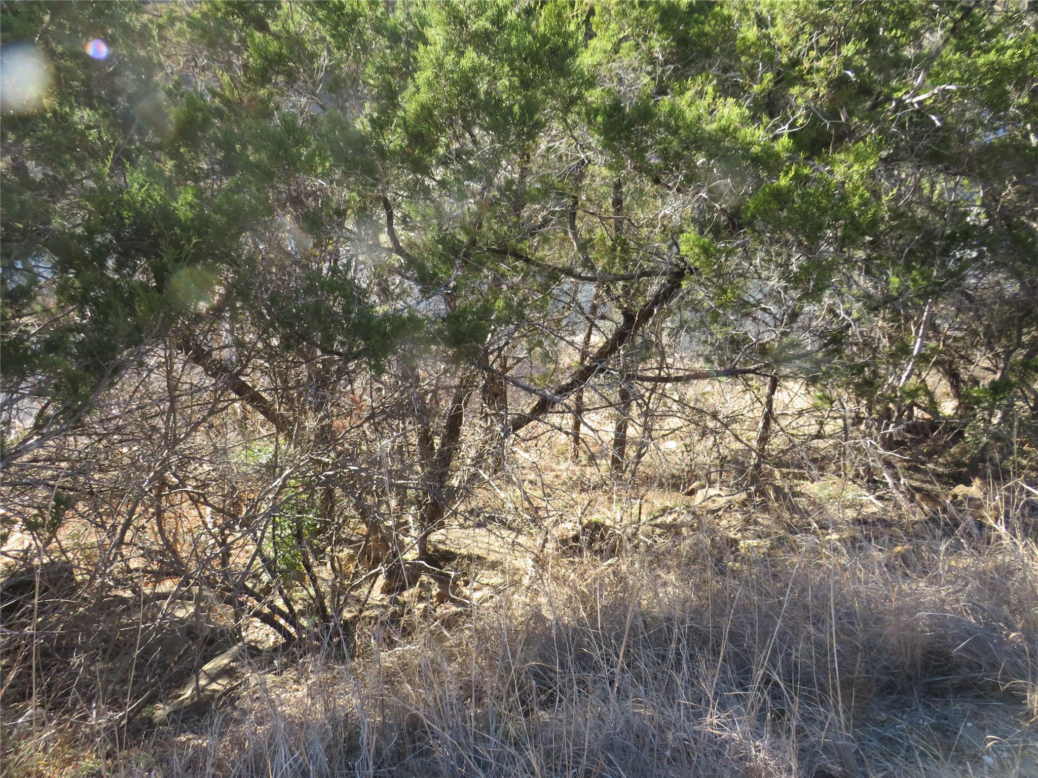 Unimproved Land