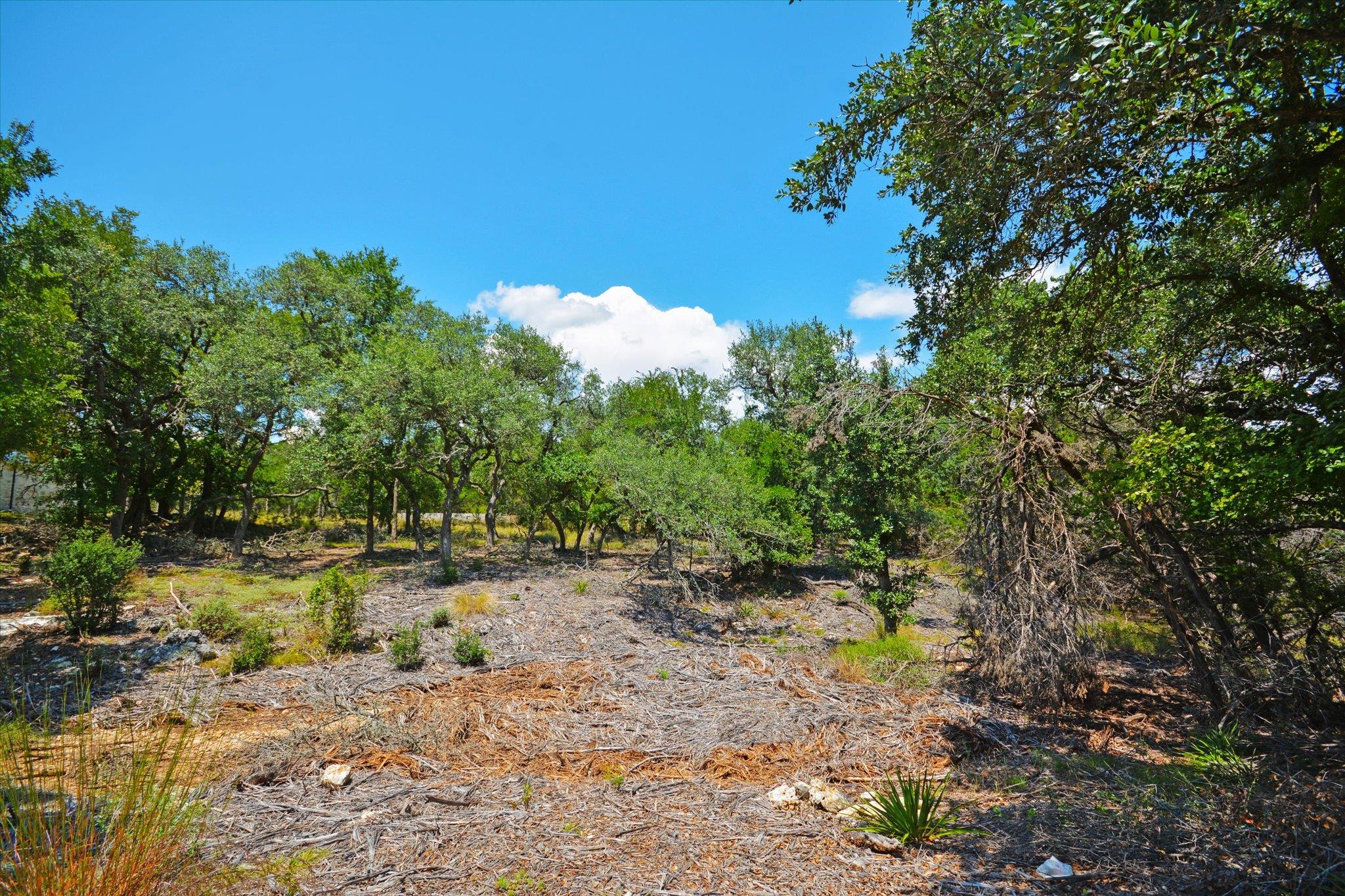 Unimproved Land