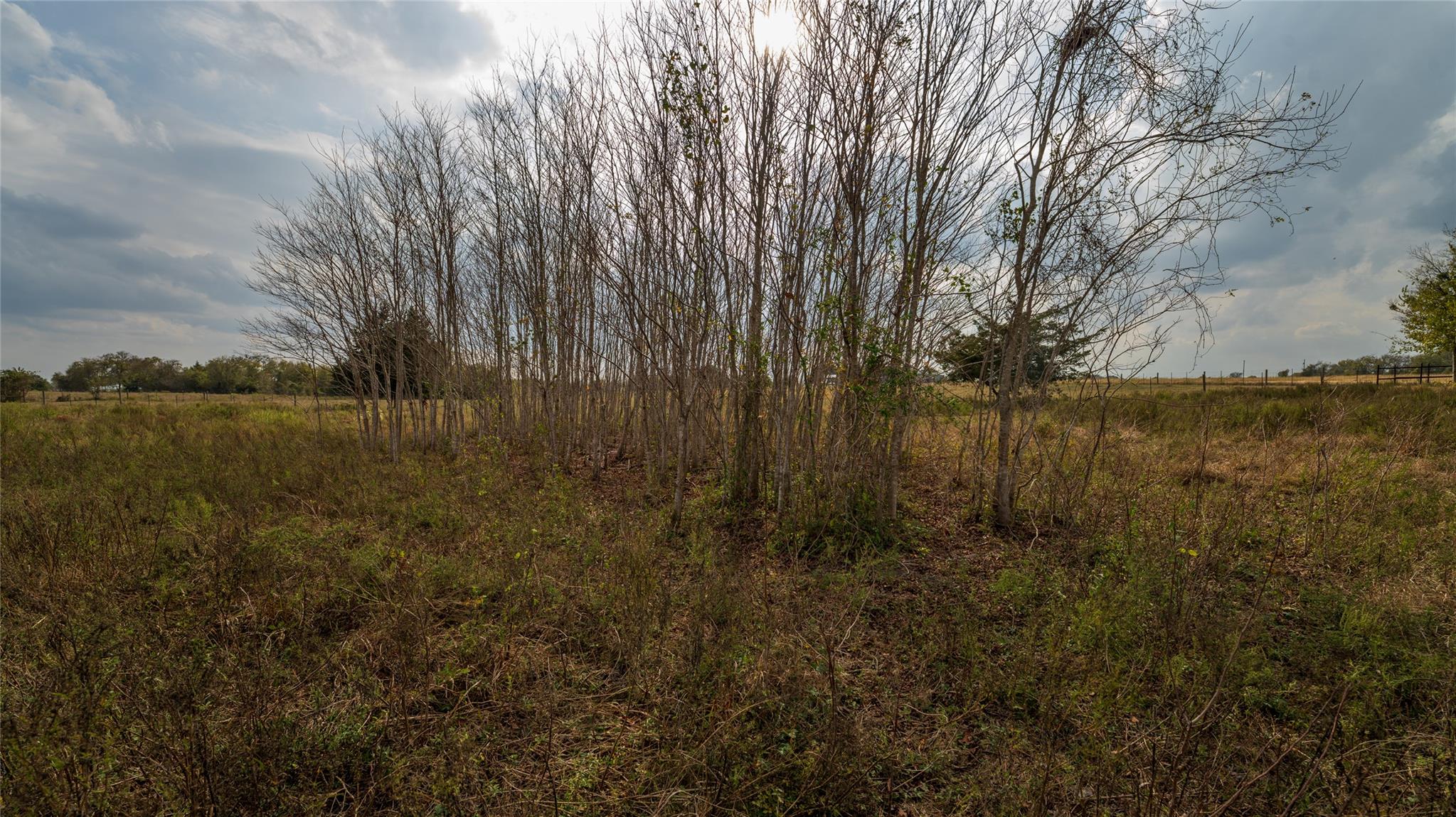 Photo 32