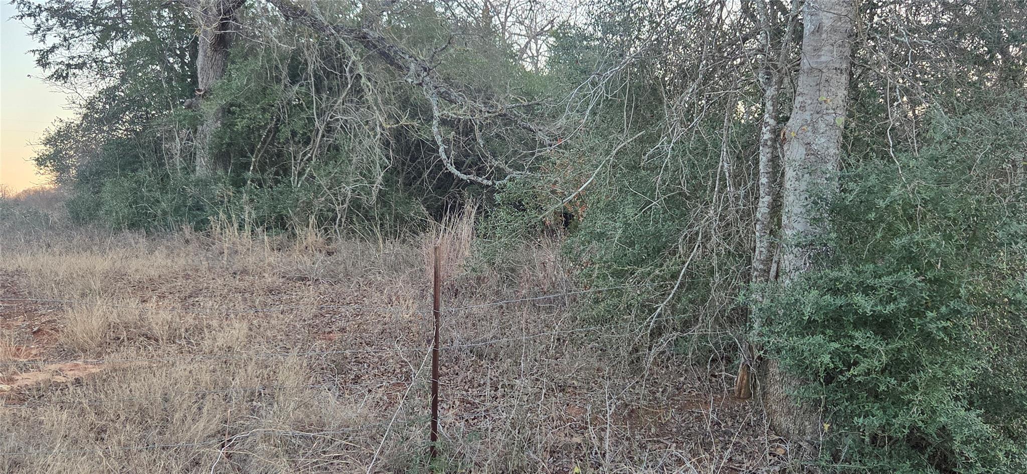 Unimproved Land