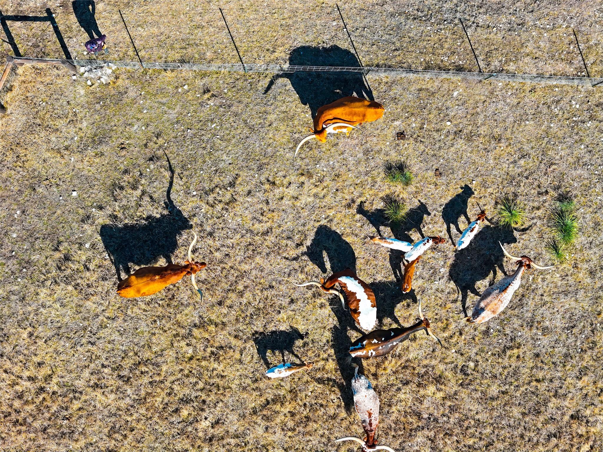 Unimproved Land