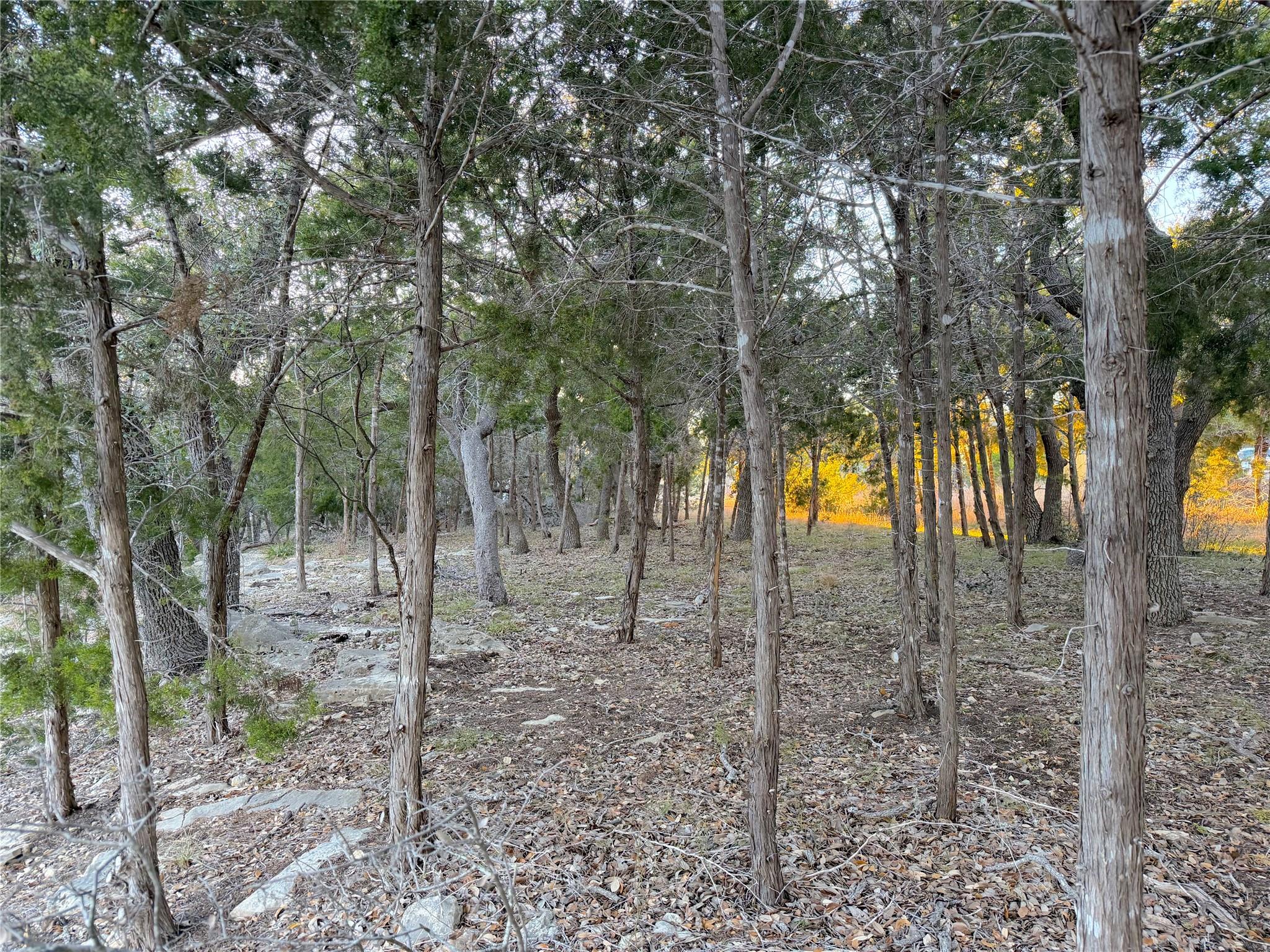 Unimproved Land