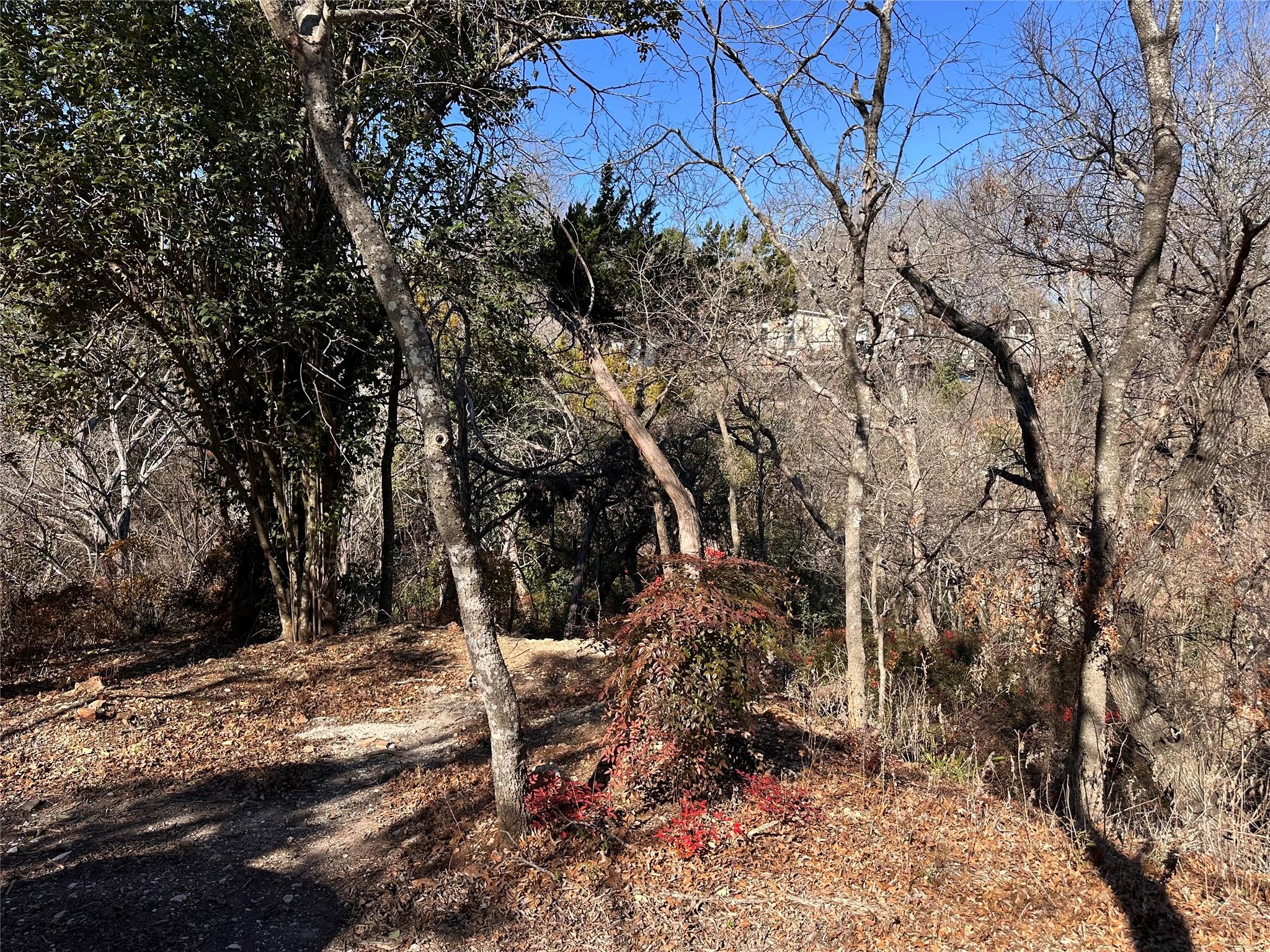 Unimproved Land