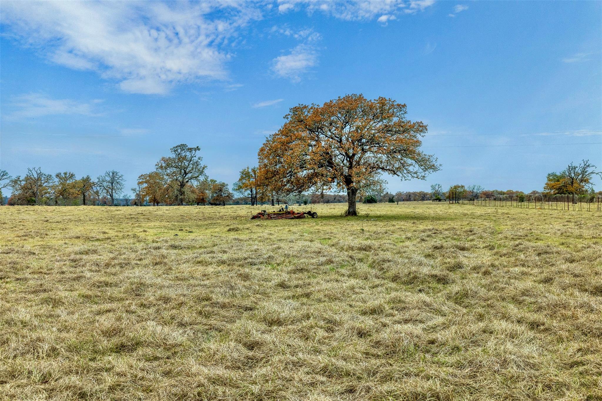 Ranch