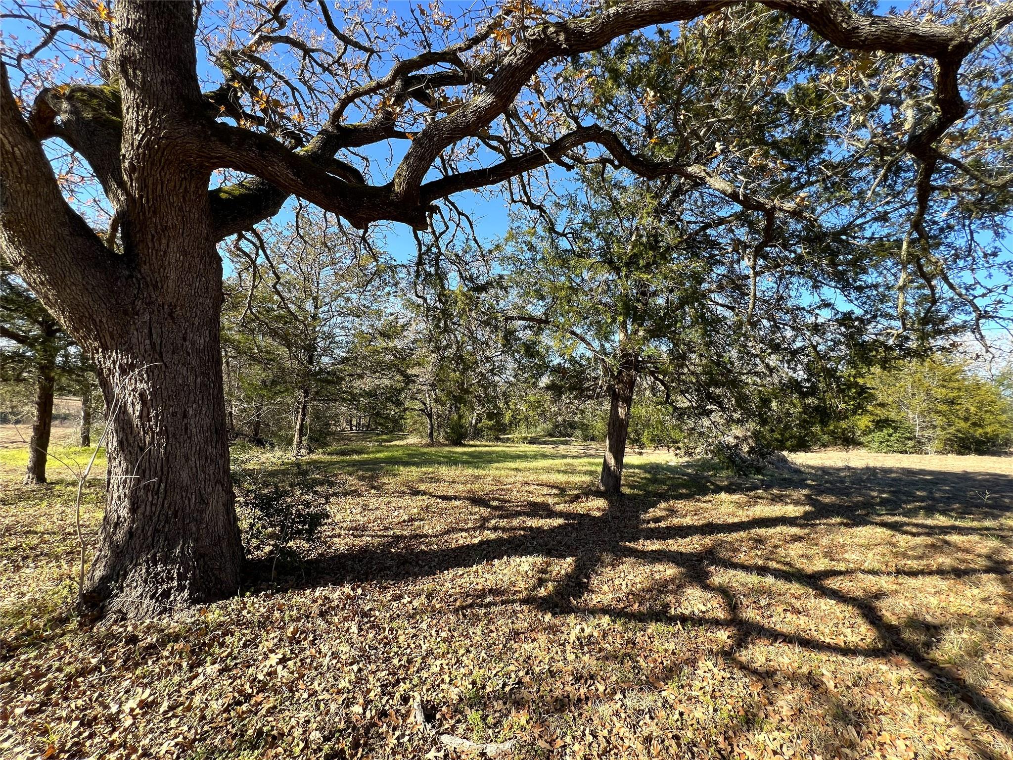 Unimproved Land