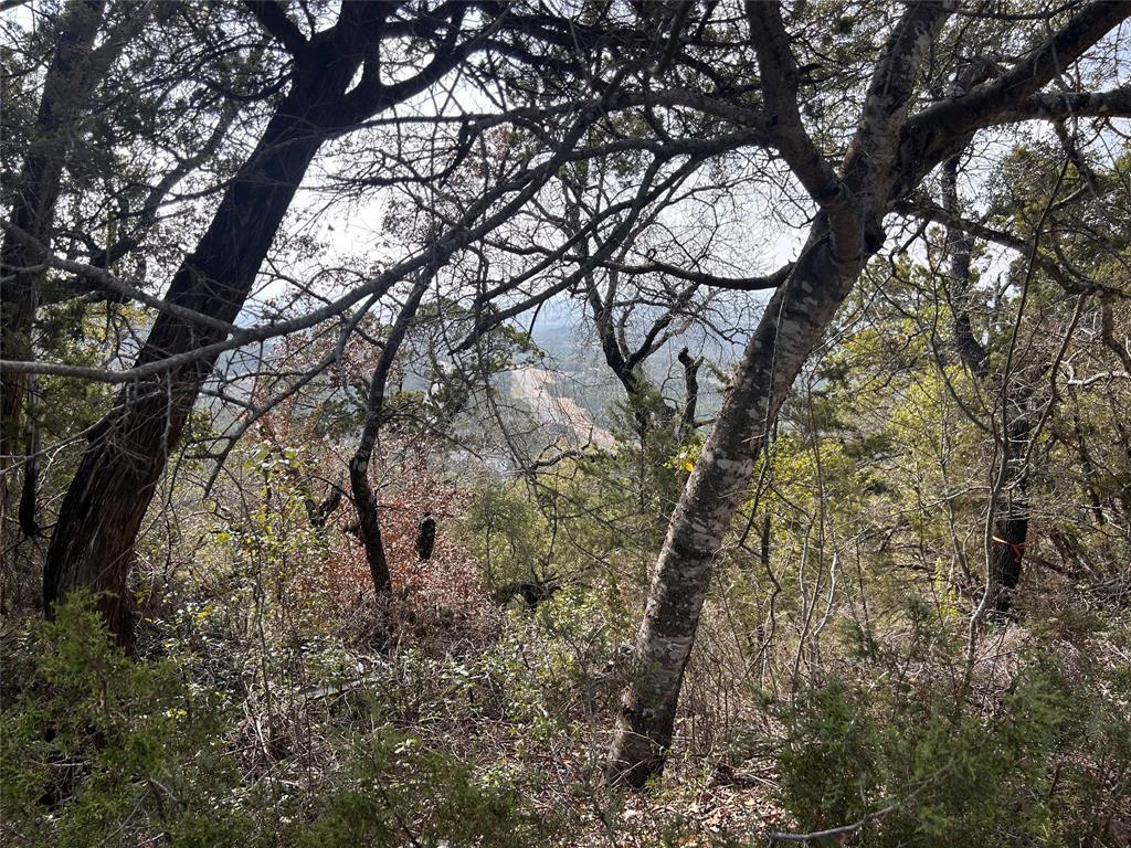 Unimproved Land