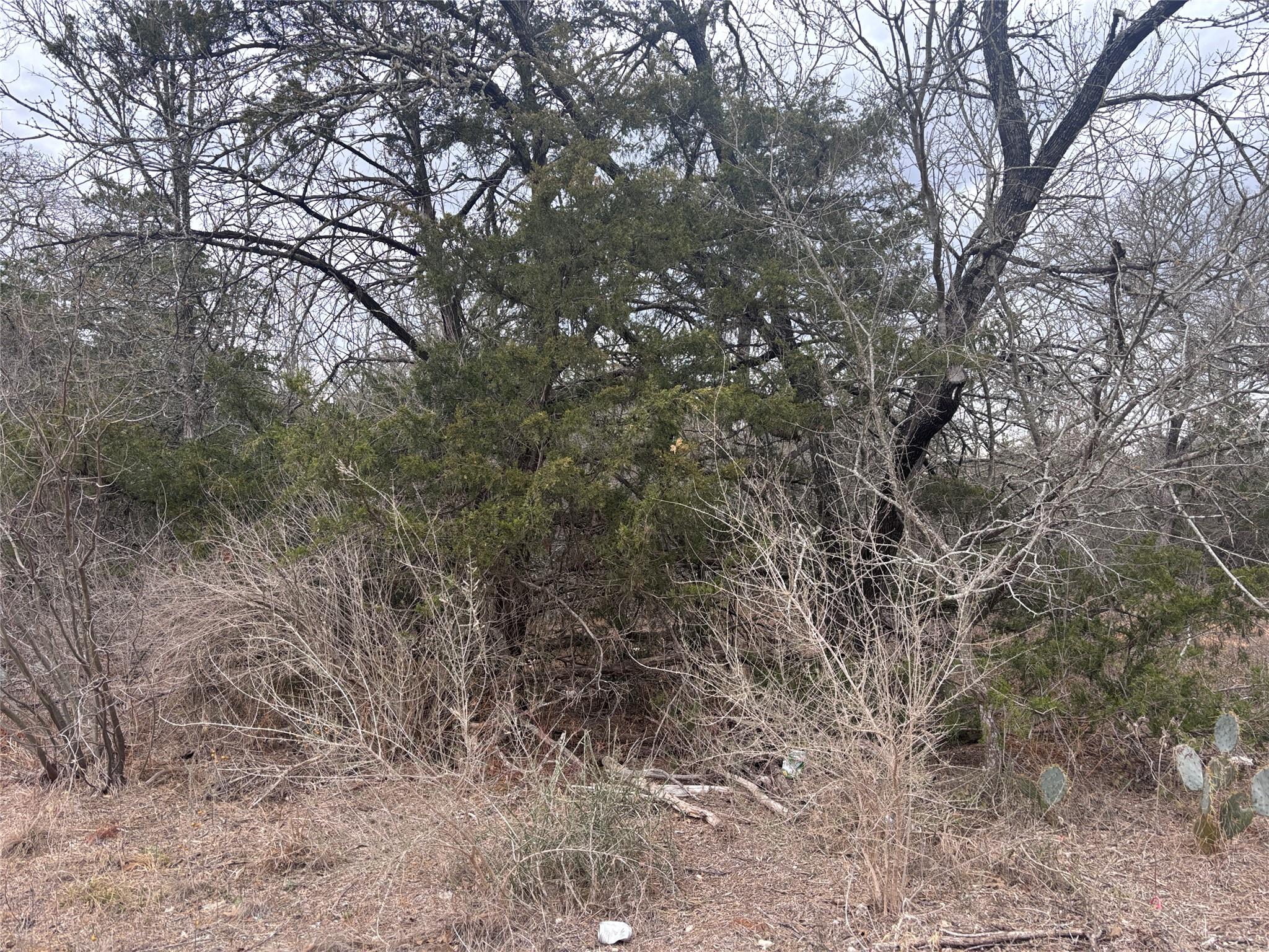 Unimproved Land