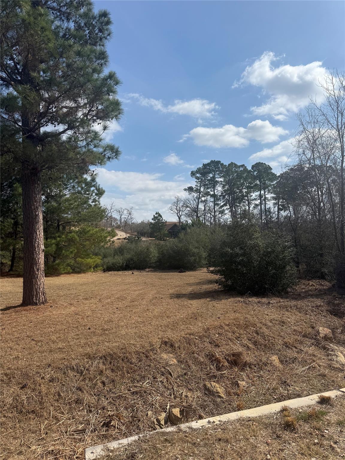 Unimproved Land