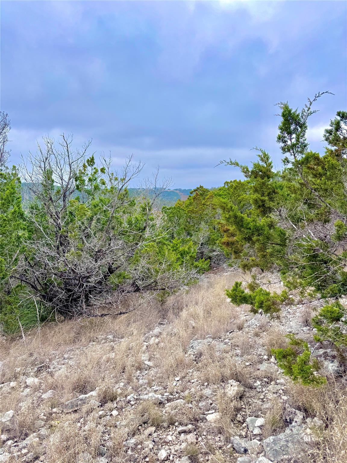 424 Armadillo Trail