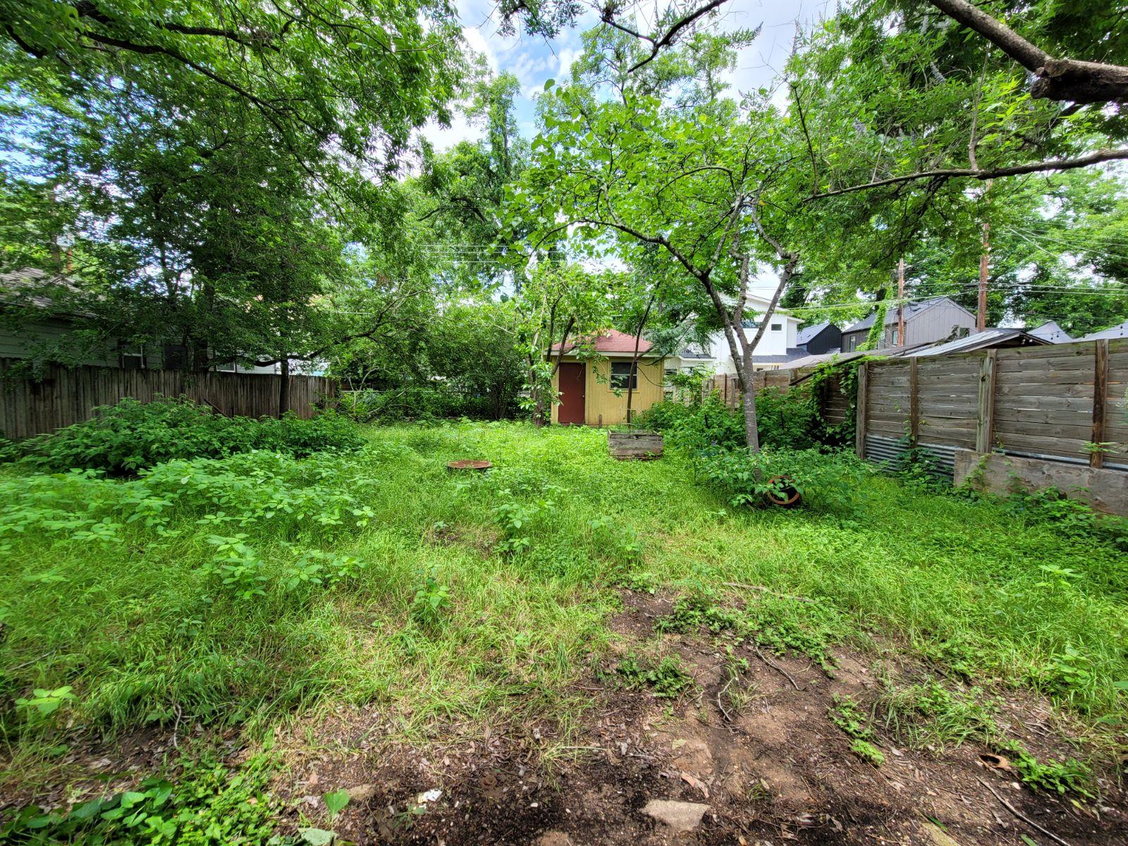Photo 21