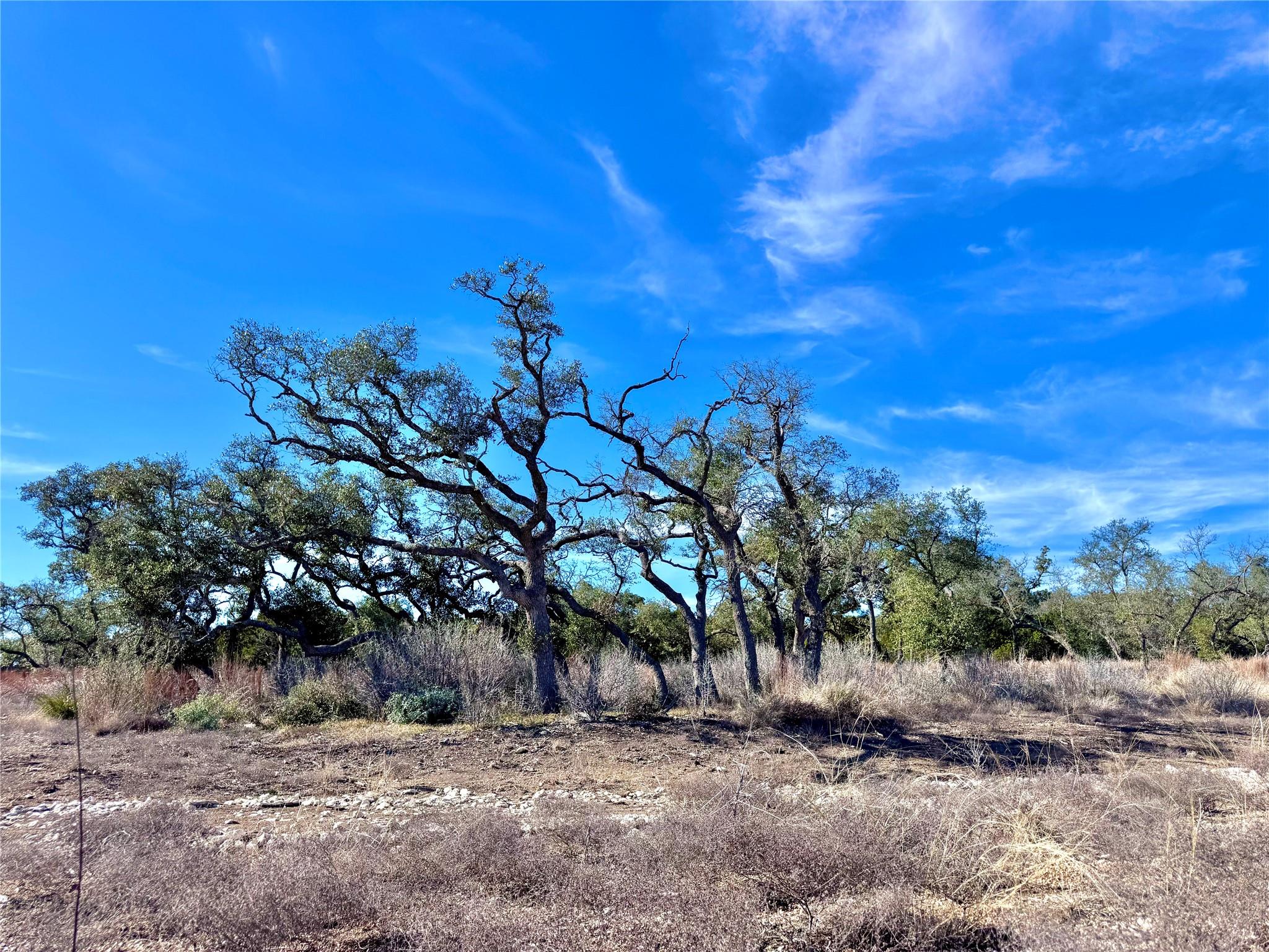 Unimproved Land