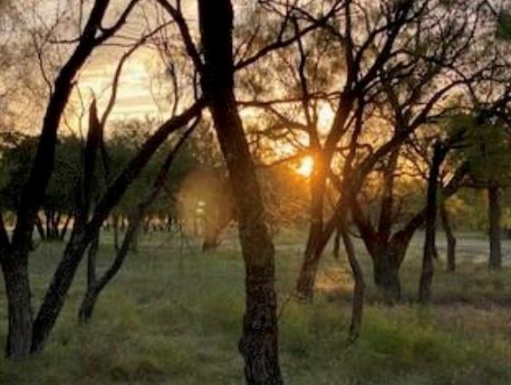 495 Buffalo Creek (Lot 95)