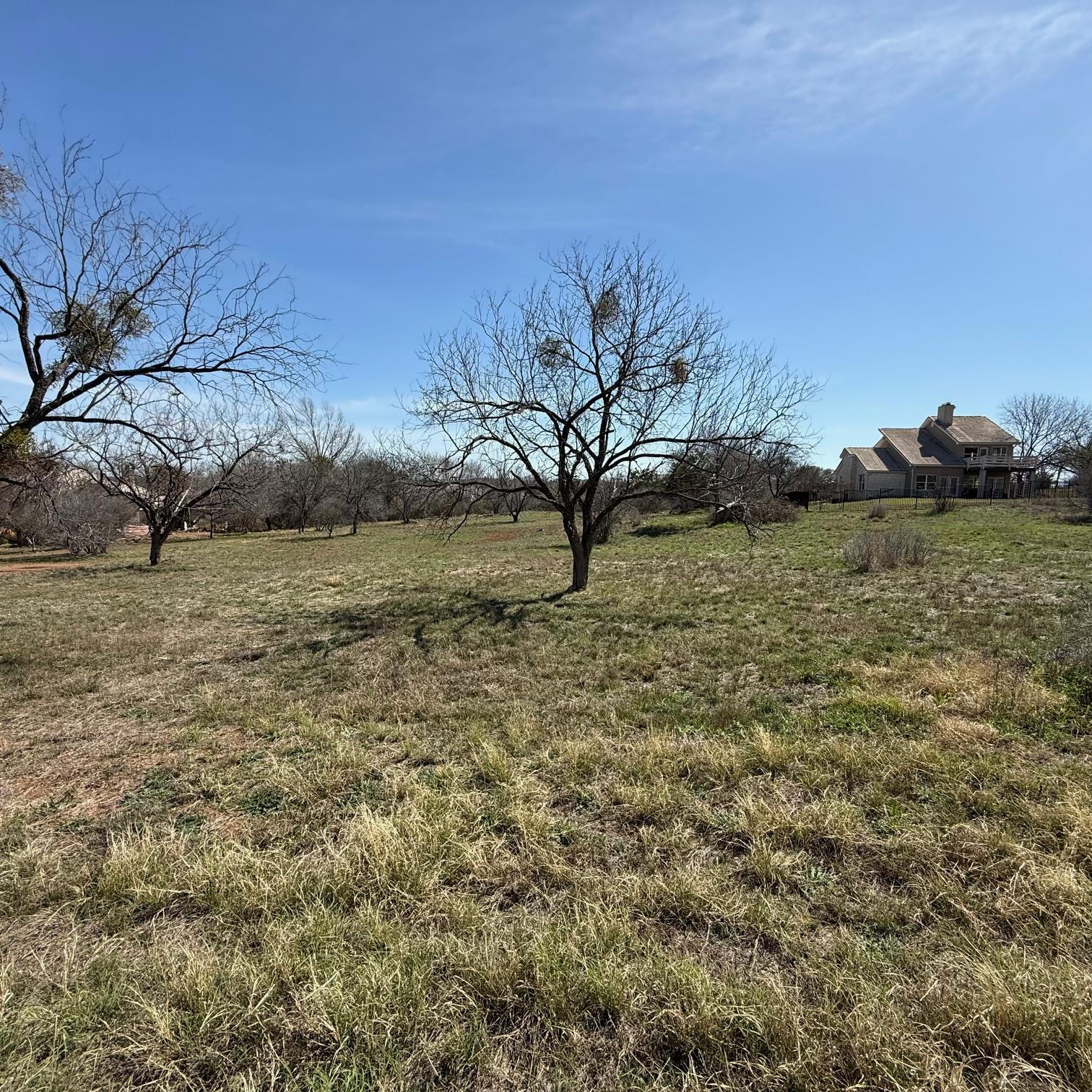 Unimproved Land