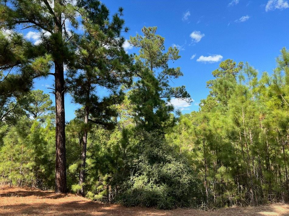 Lot 986 Kailua L