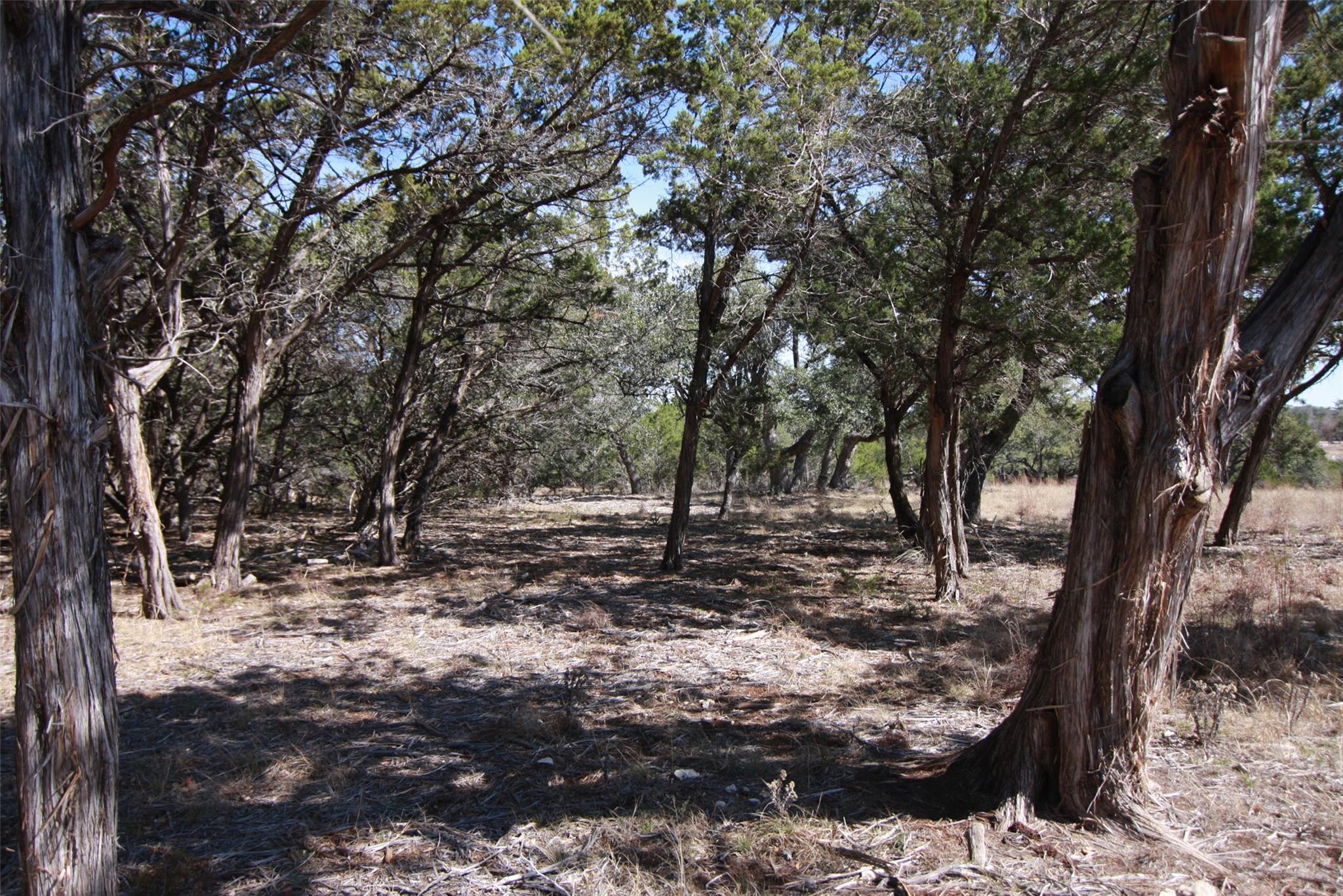 Unimproved Land
