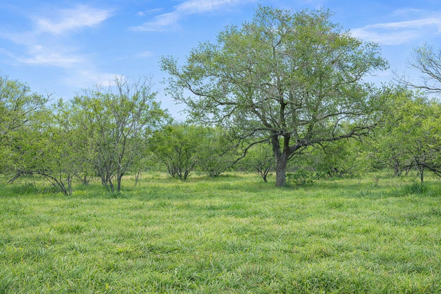 Ranch