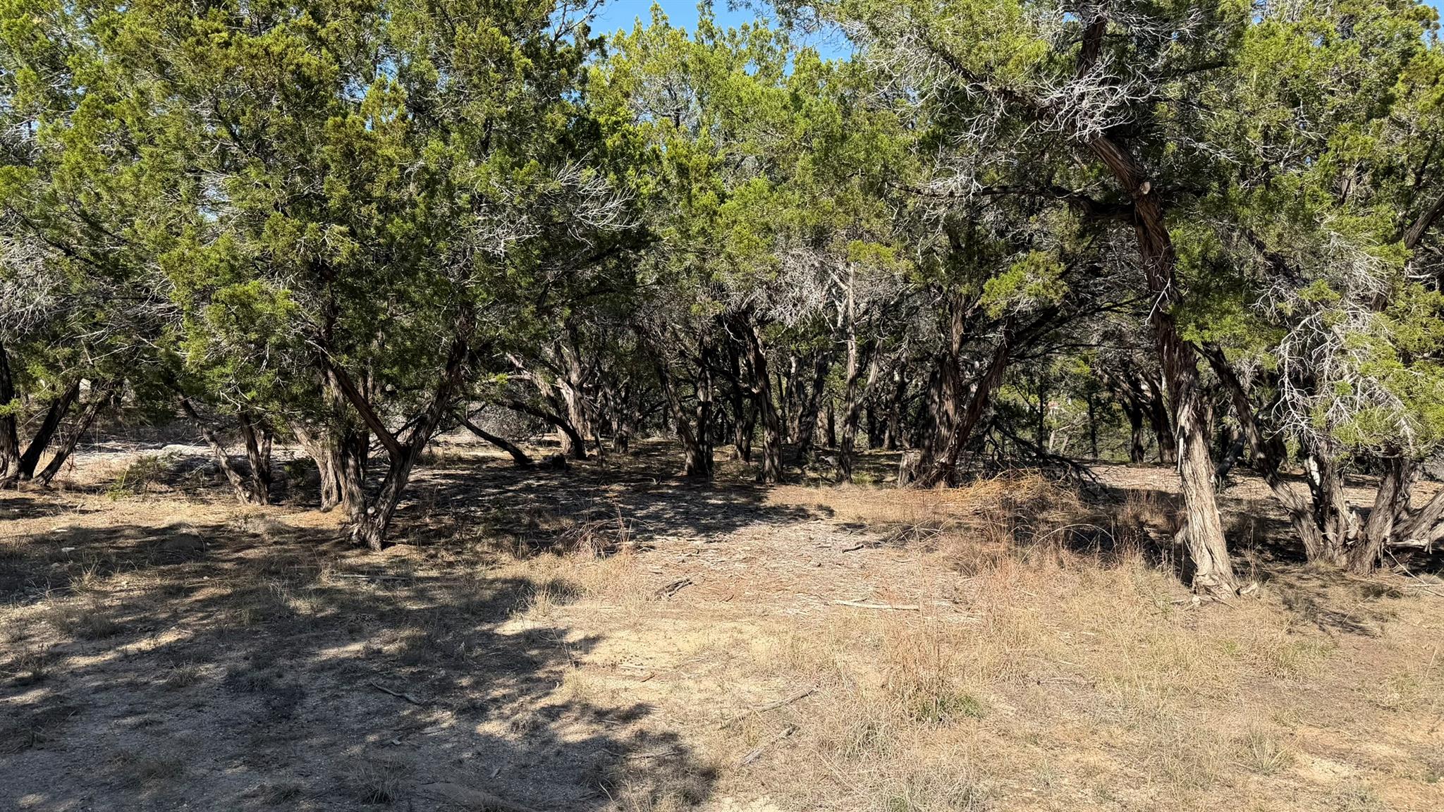 Photo 31