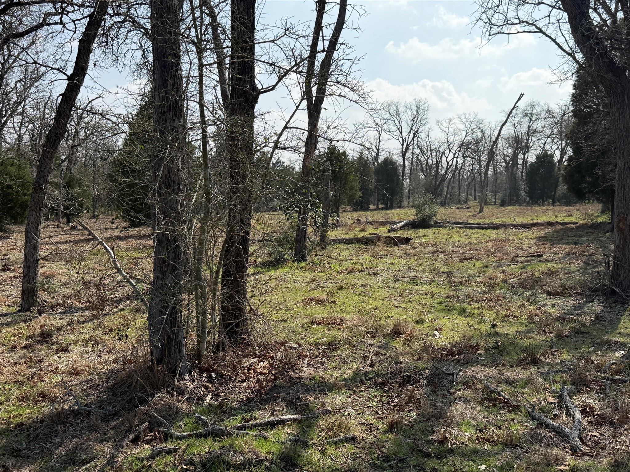 Unimproved Land