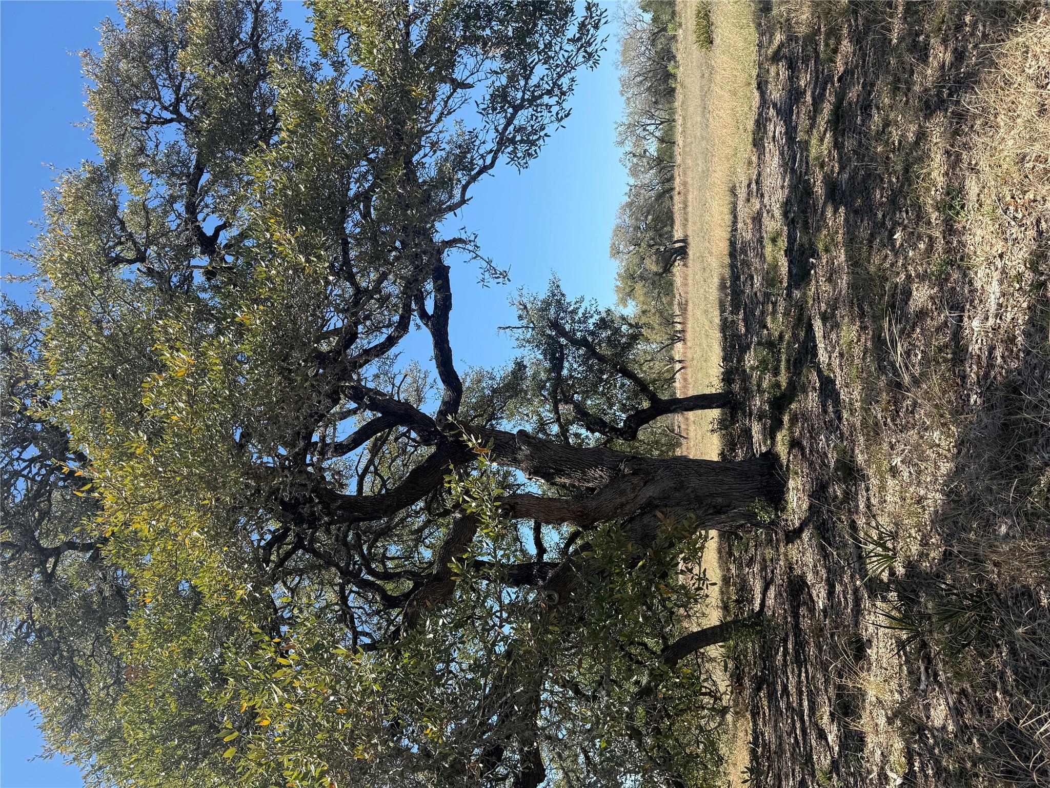 Multiple Lots (Adjacent)