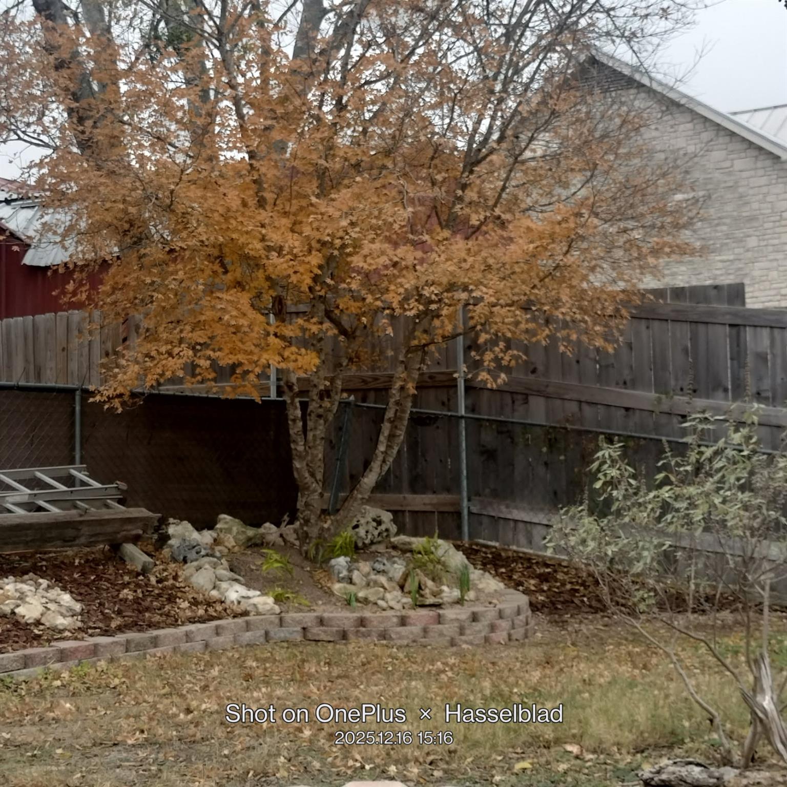 Photo 39