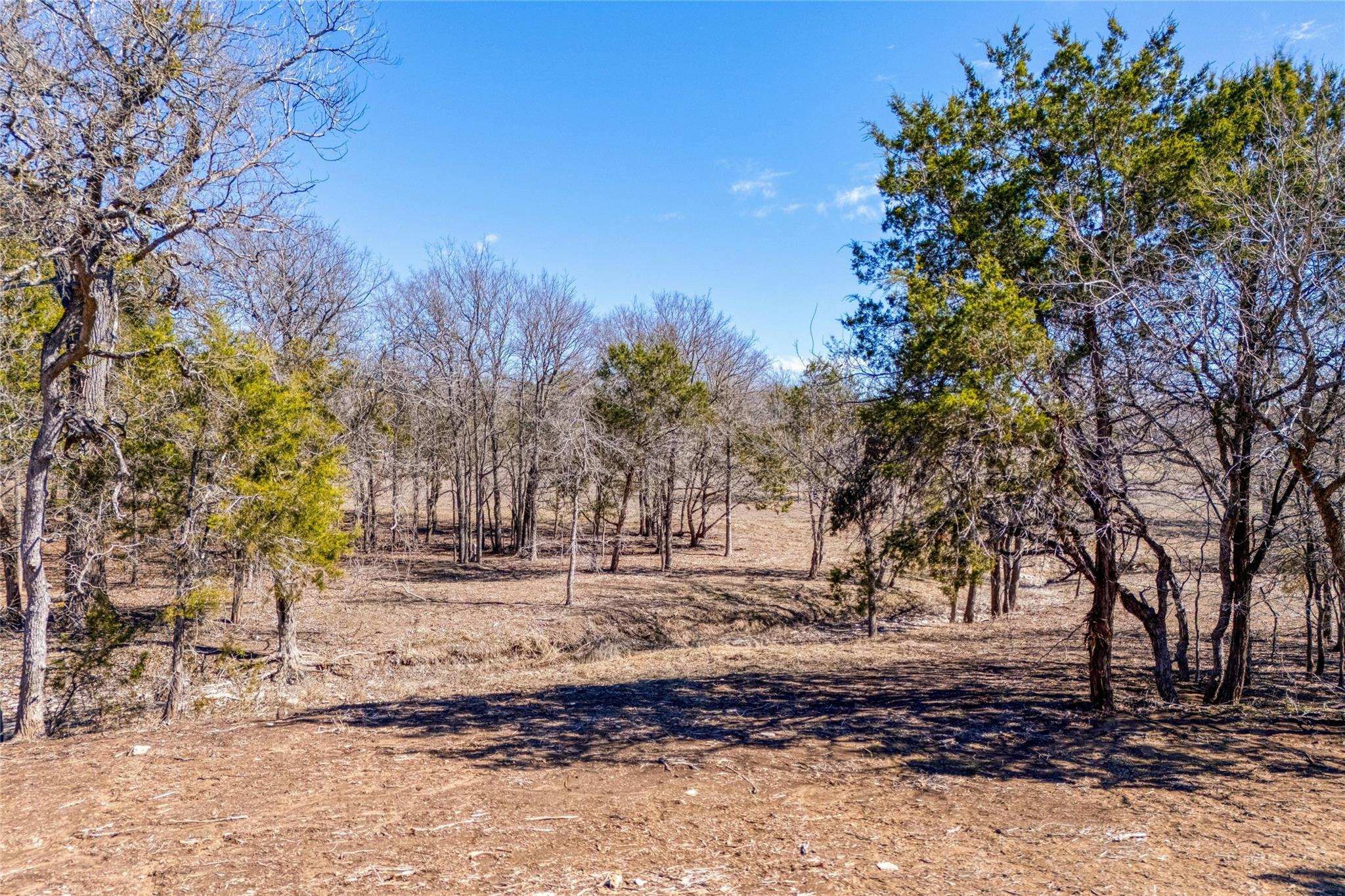 Unimproved Land