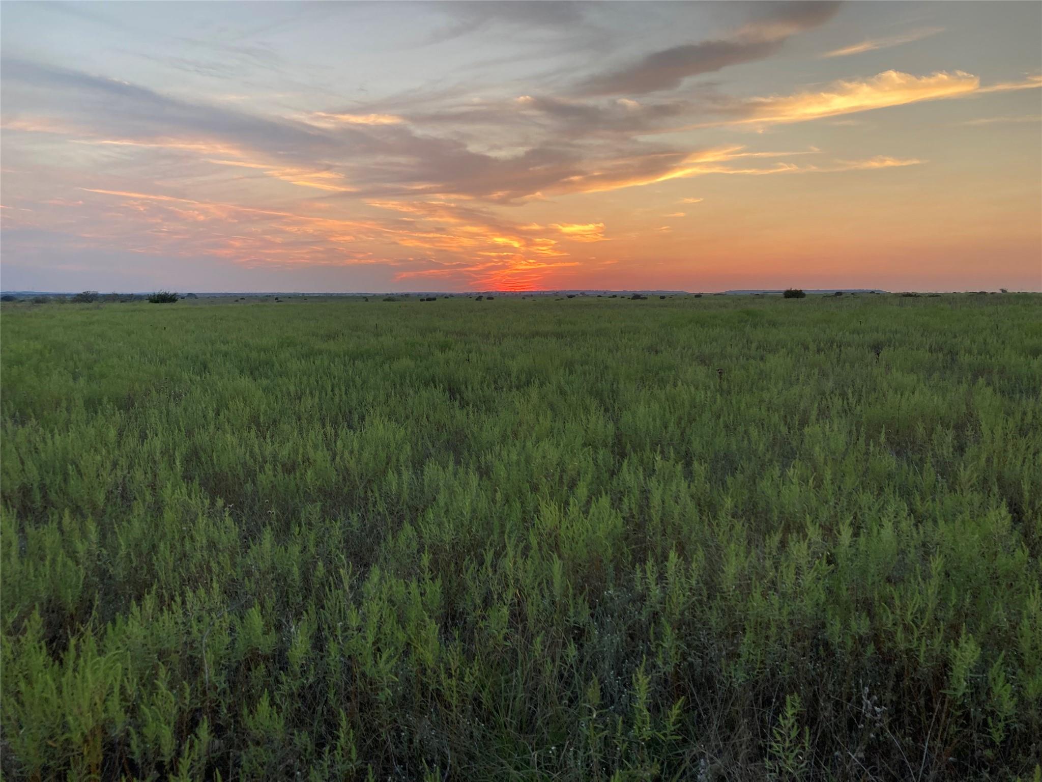 Unimproved Land