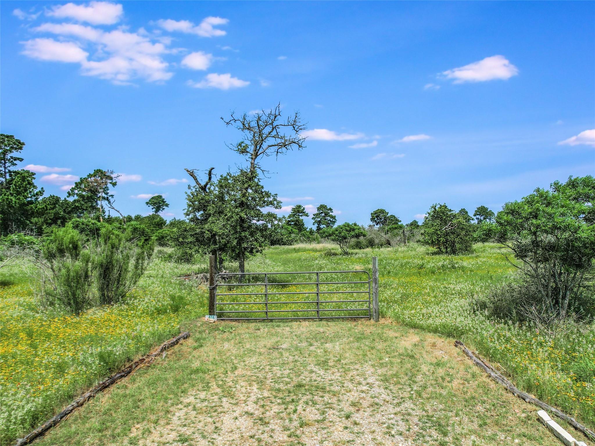 Unimproved Land