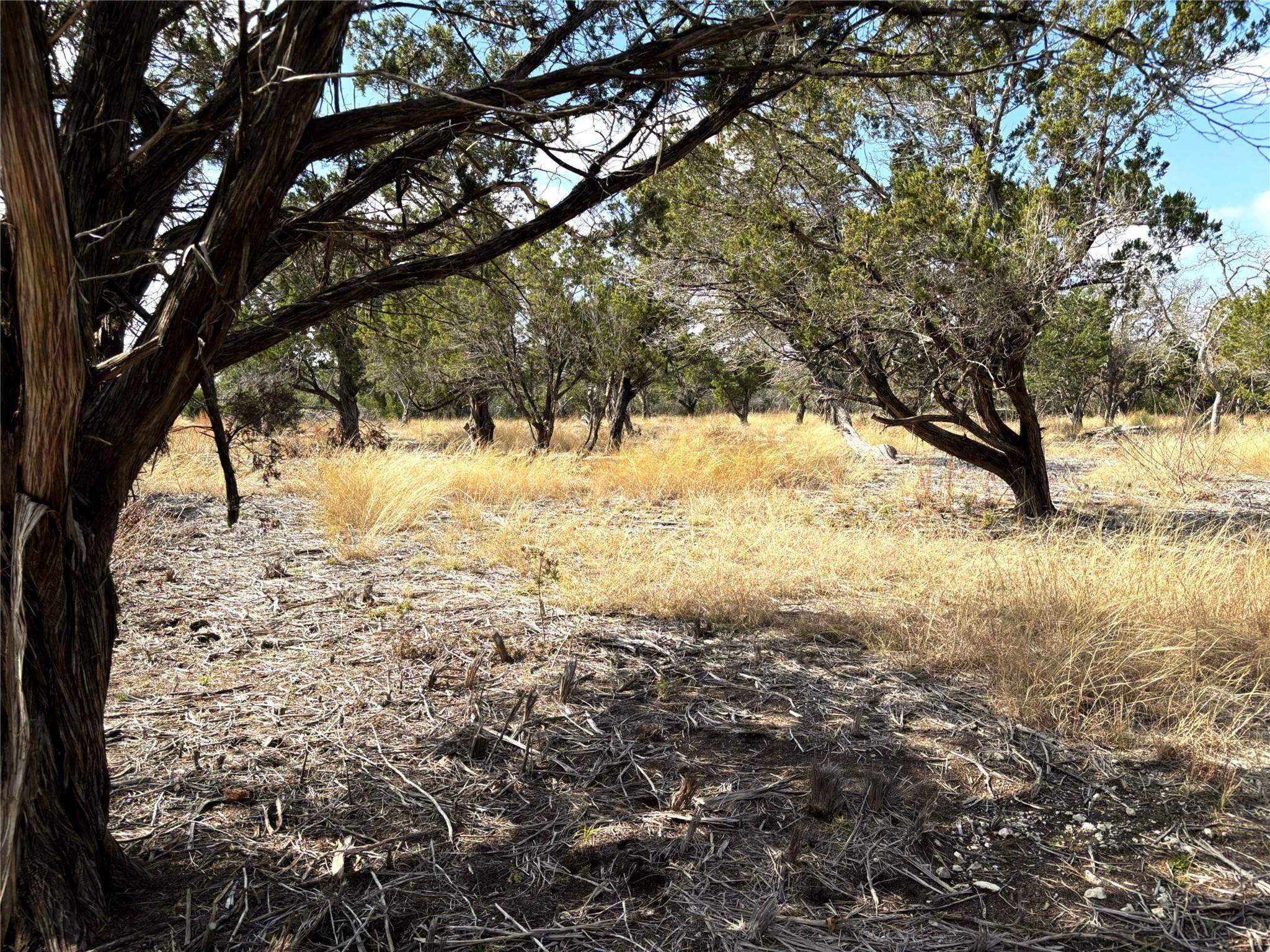 Unimproved Land