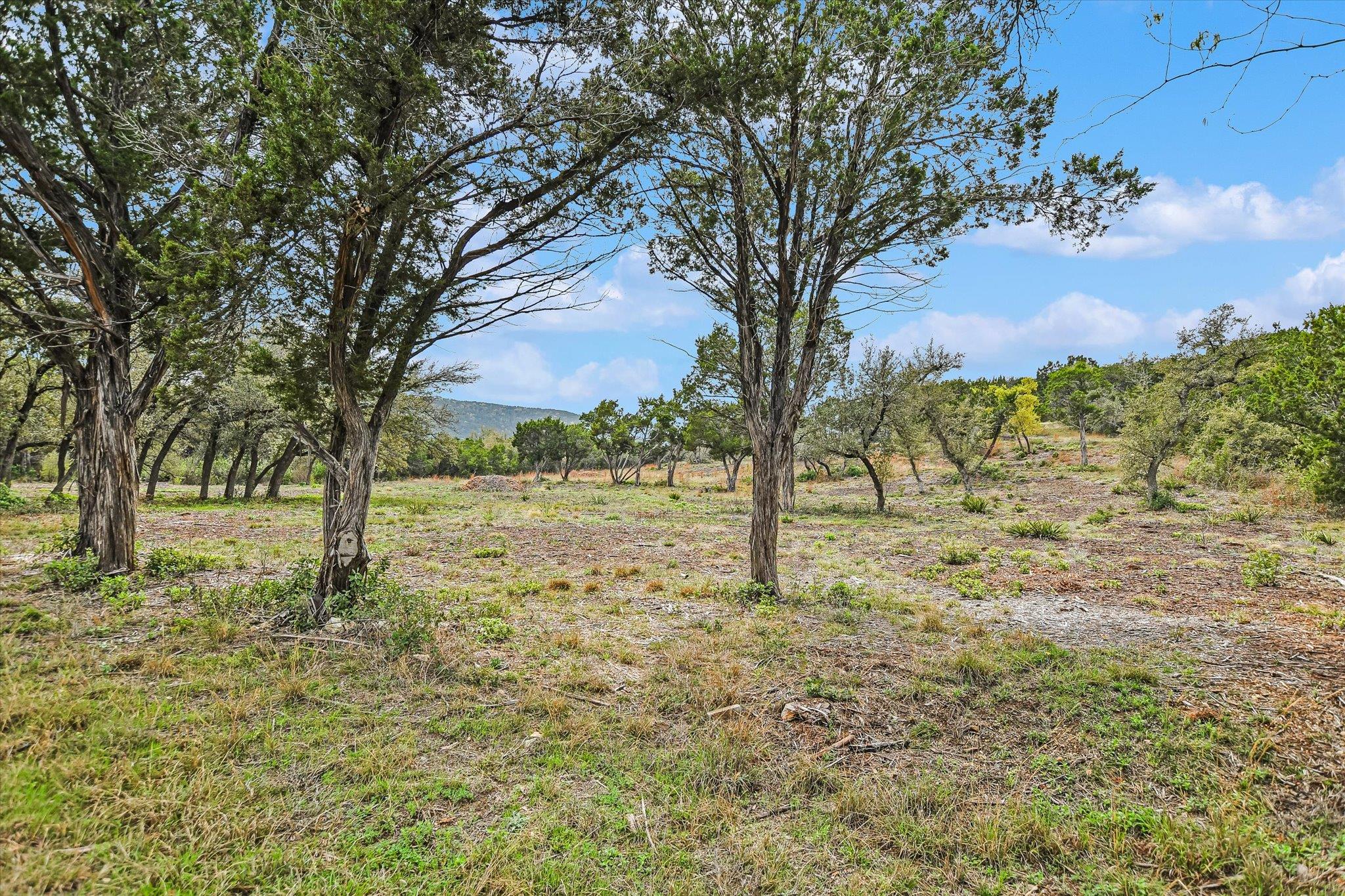 Unimproved Land