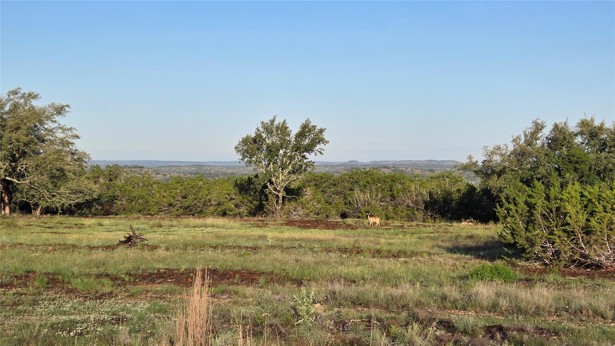 Unimproved Land