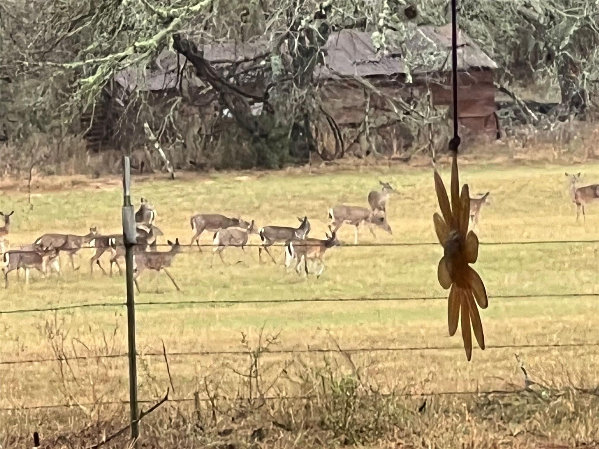 Ranch