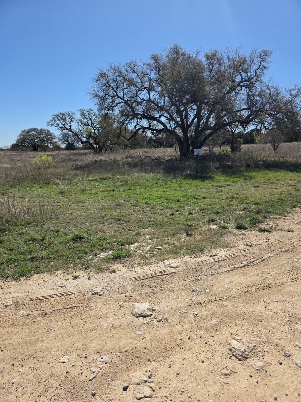 Unimproved Land