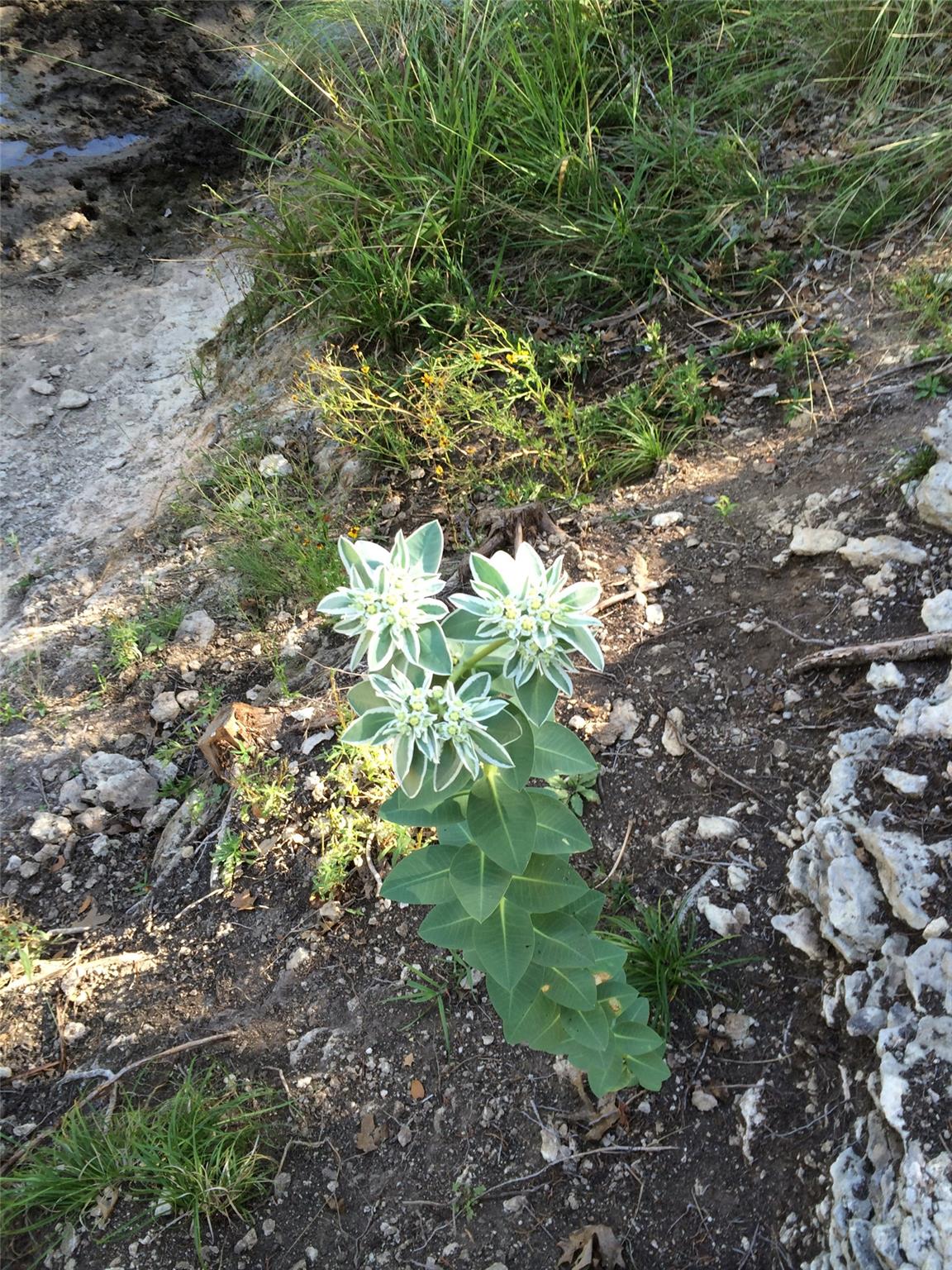 Photo 32