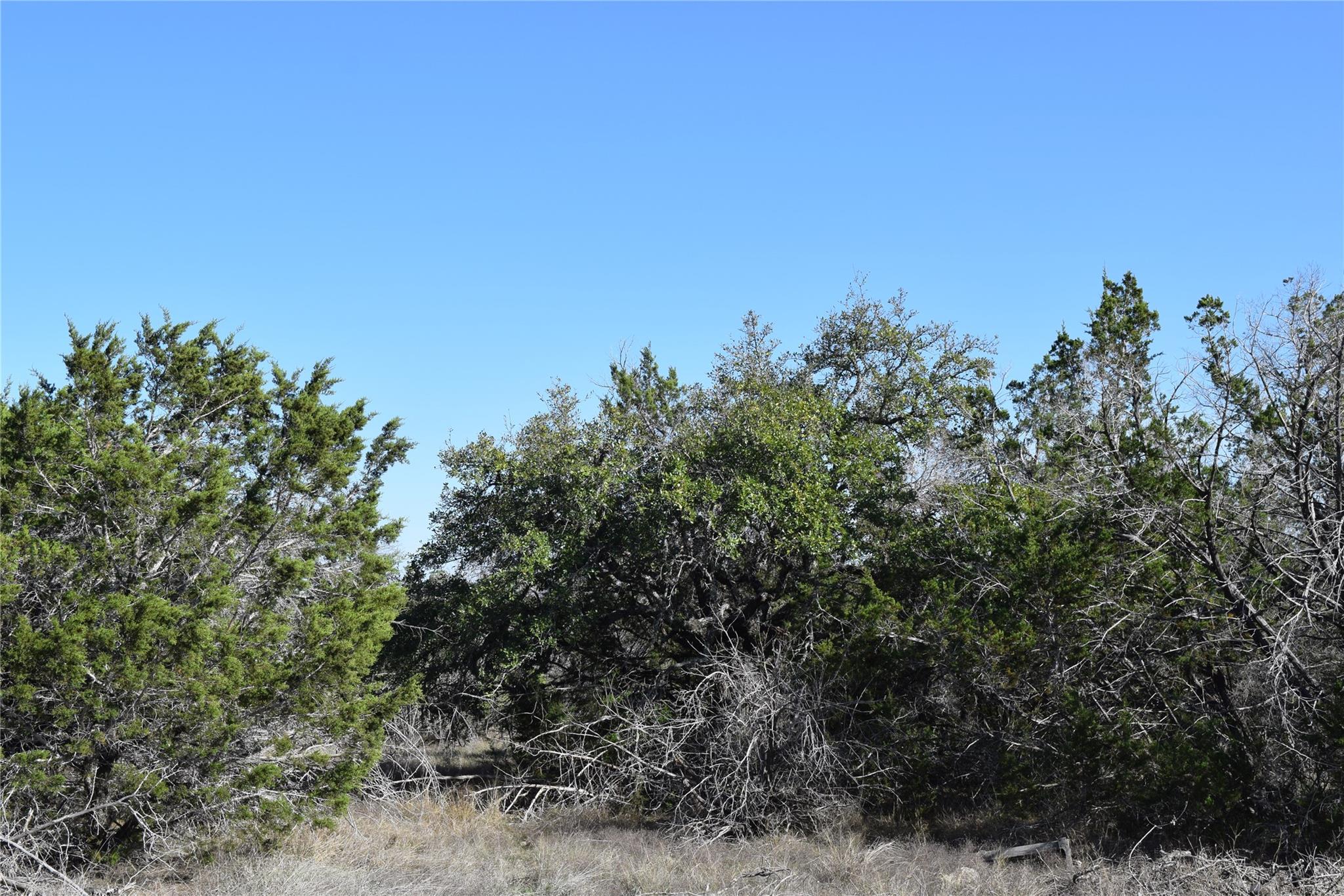 TBD Cheyenne