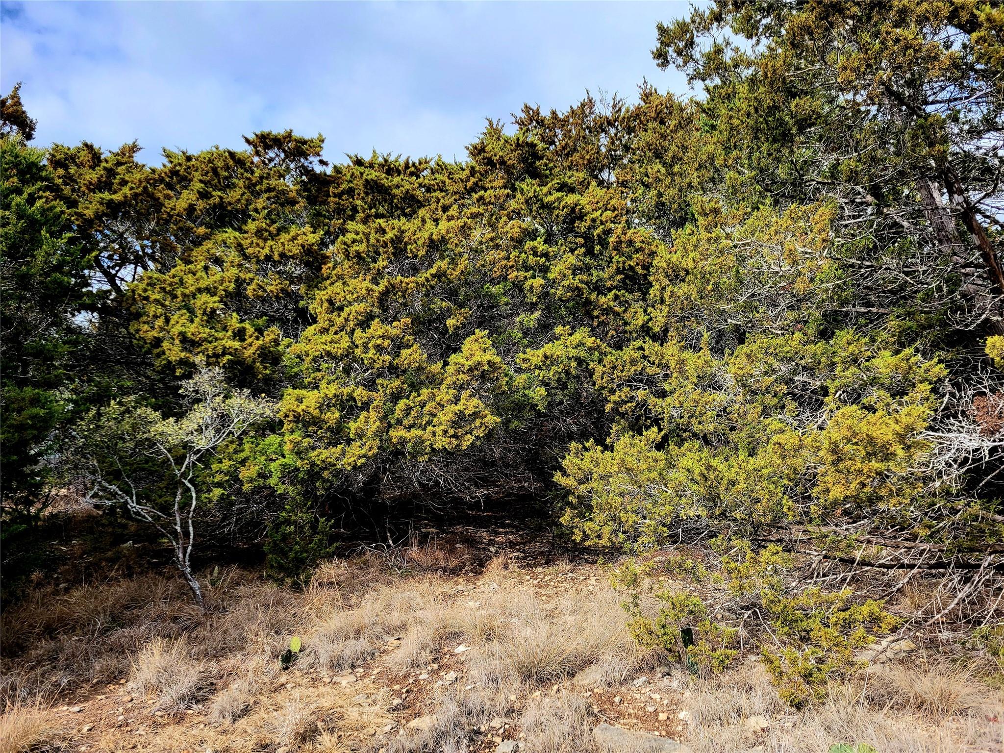 Unimproved Land