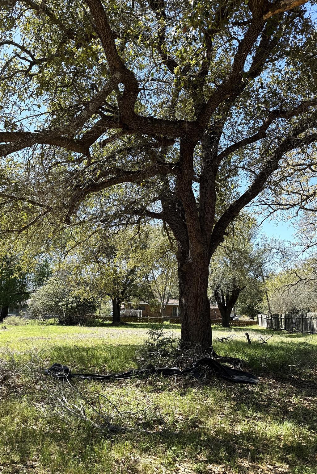 Unimproved Land
