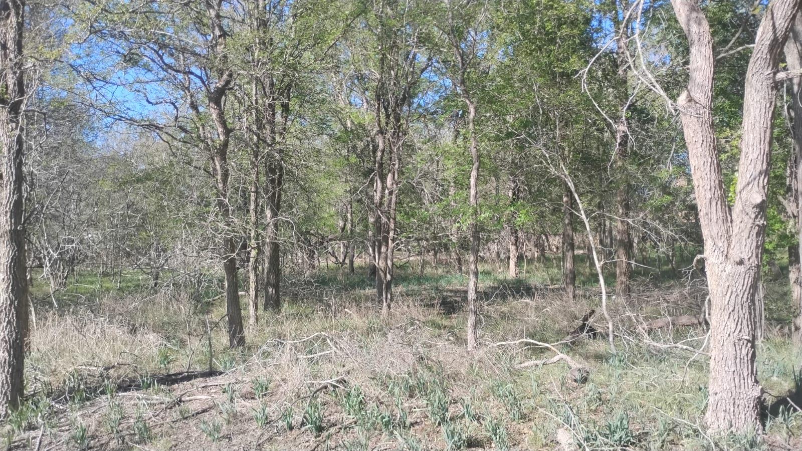 Unimproved Land