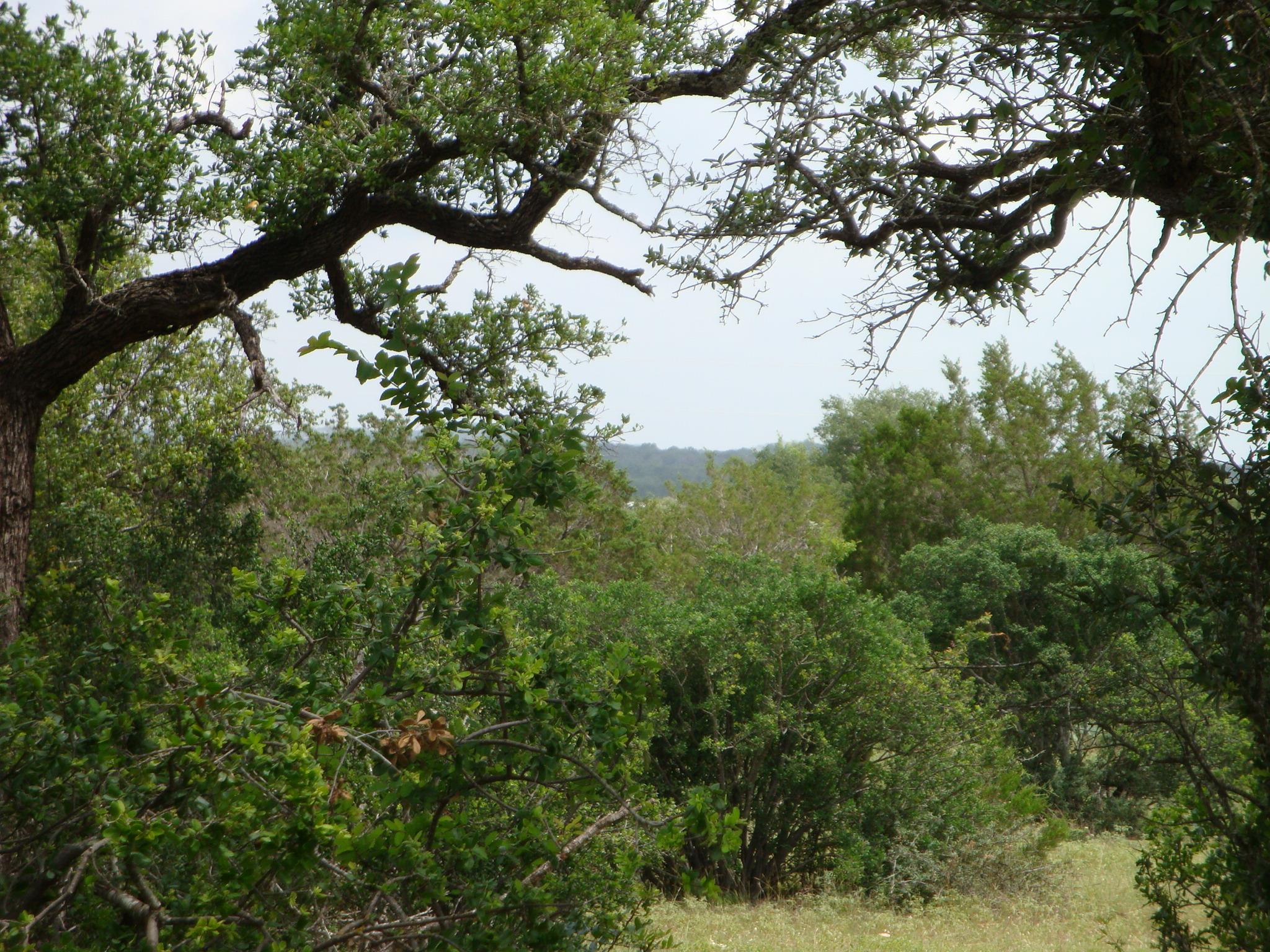 Photo 32