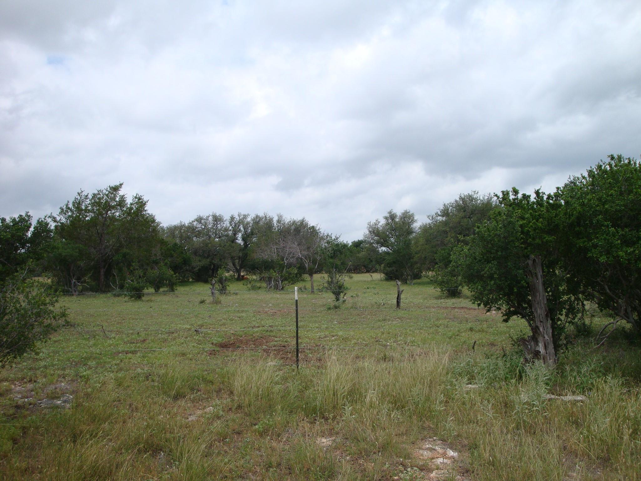 Photo 34