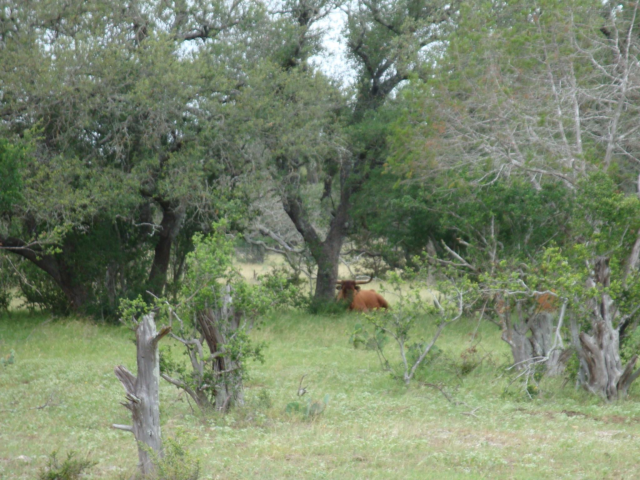Photo 35