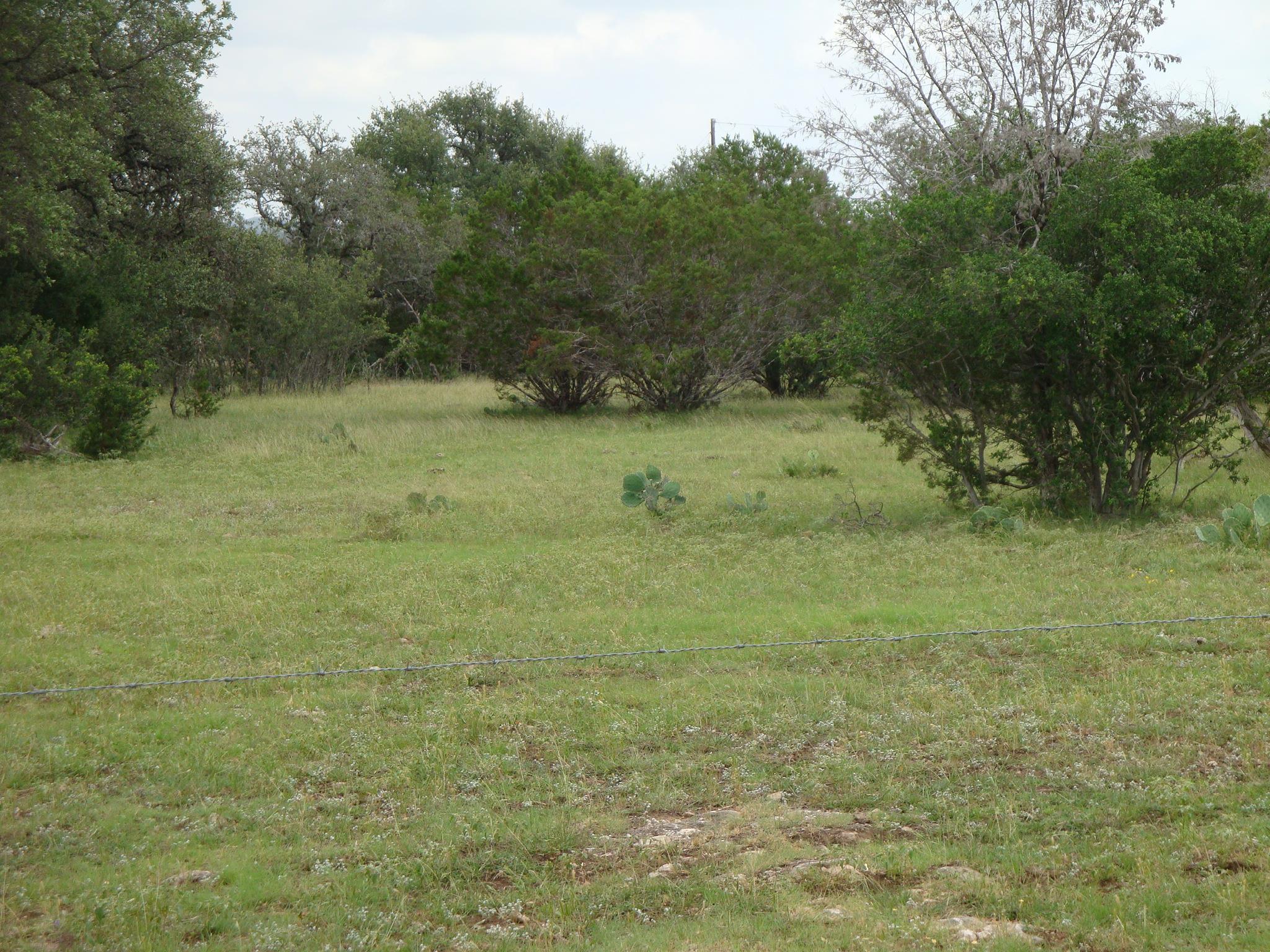 Photo 38