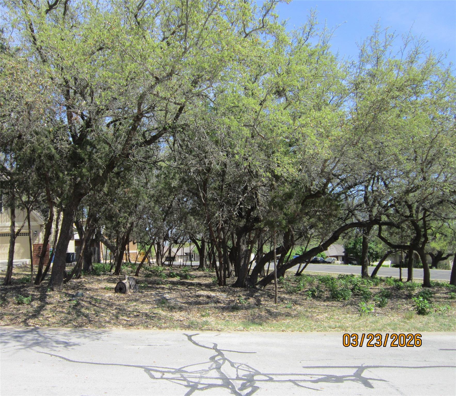 Photo 22