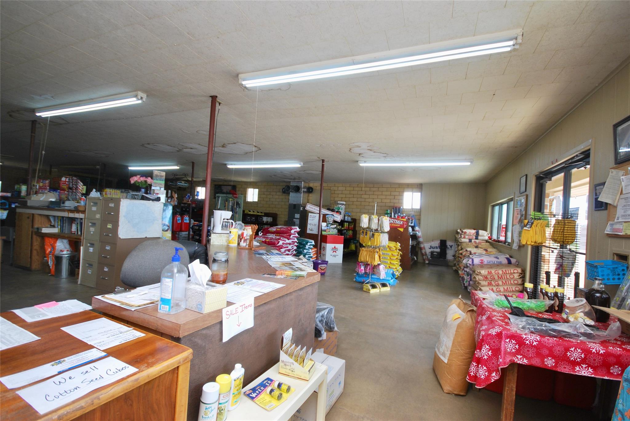Photo 11