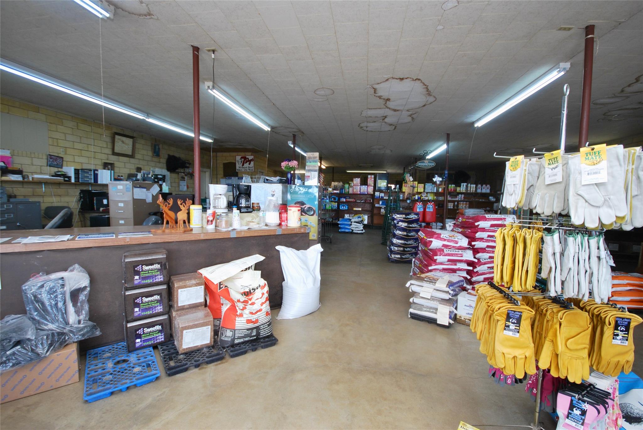 Photo 12