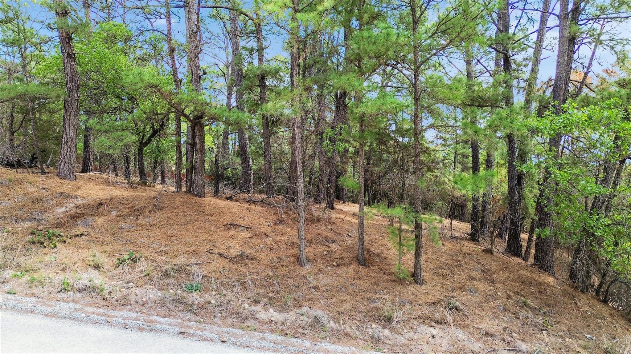 Unimproved Land