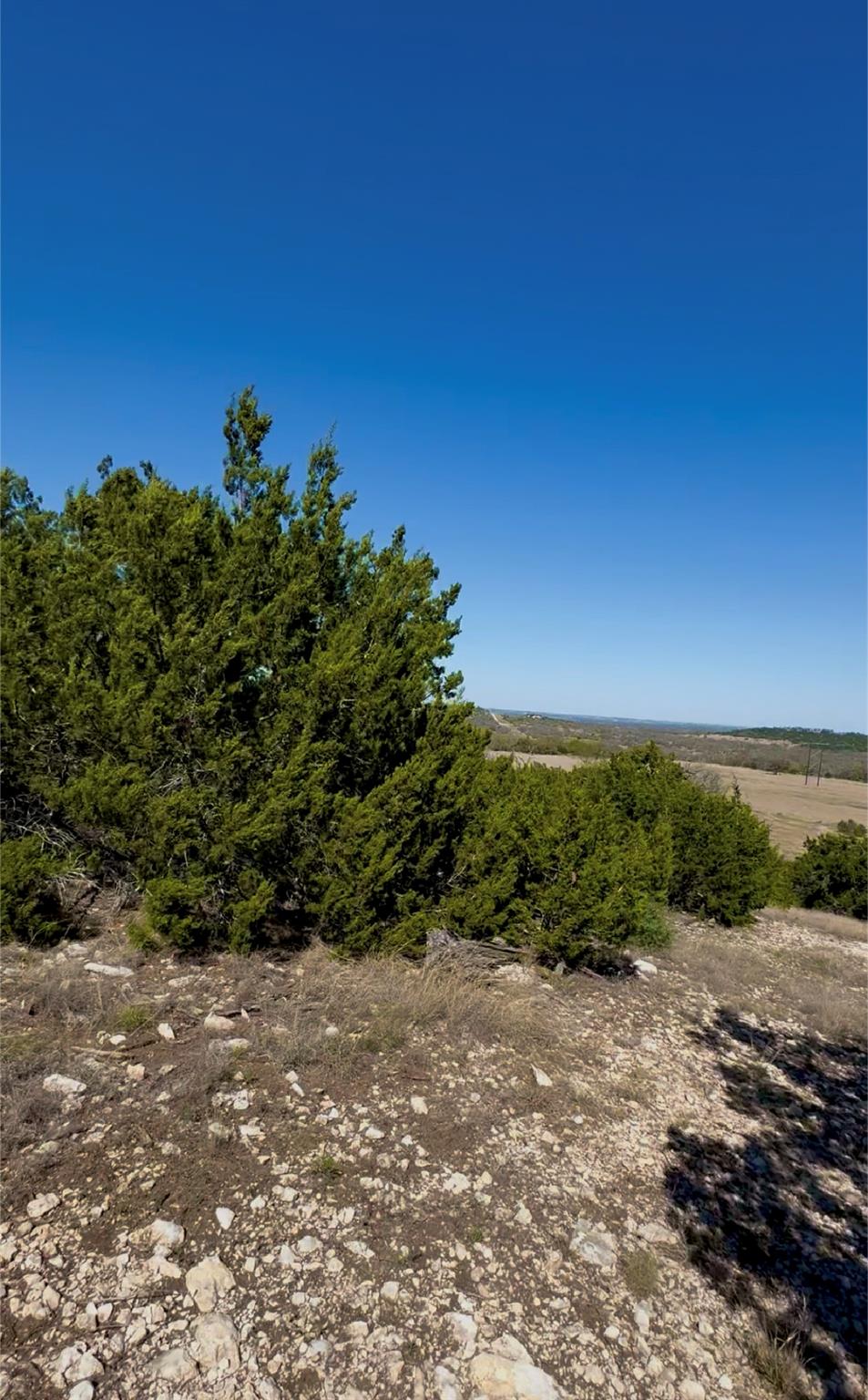 Unimproved Land